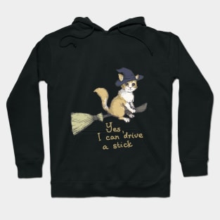 Yes I Can Drive A Stick - Witch Cat Design Hoodie